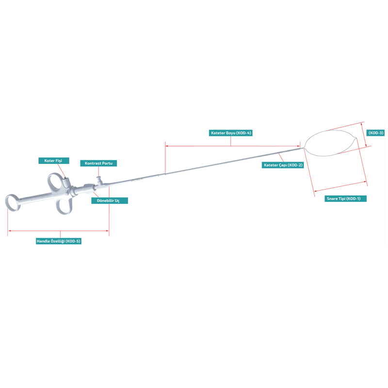 Polyectomy Snare